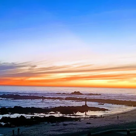 Cachinnans & ホステル