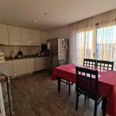 Cachinnans & Hostal