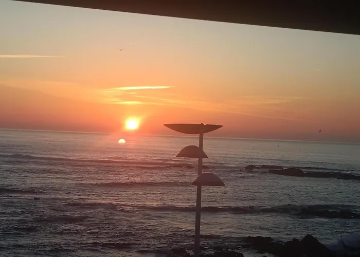 Cachinnans & ヴィラ・ド・コンデ