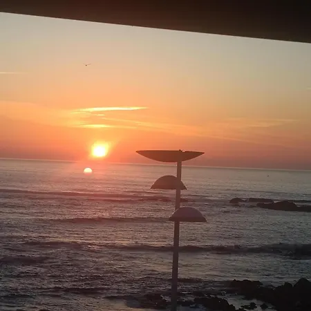 Cachinnans & 빌다도콘데