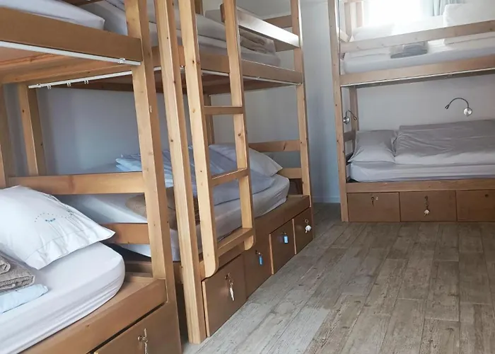 بيت شباب Cachinnans & *