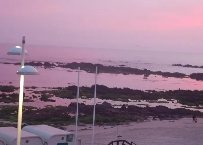 بيت شباب Cachinnans &