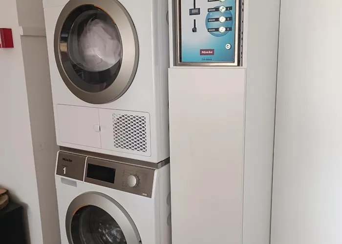 Cachinnans & Ostello Vila do Conde