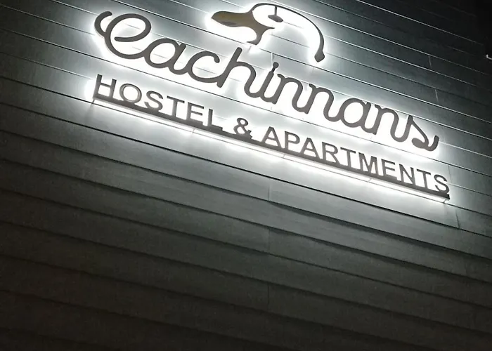 بيت شباب Cachinnans &